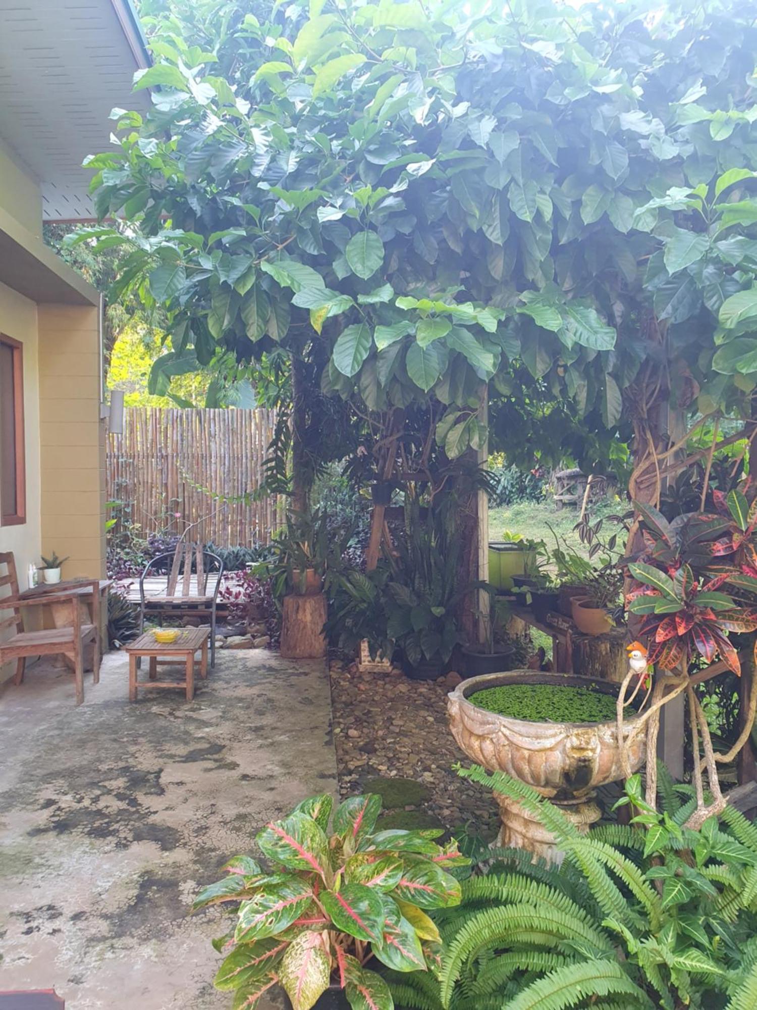 Mind'S Homestay มายด์โฮมสเตย์ Kampong Huaibu Exteriör bild