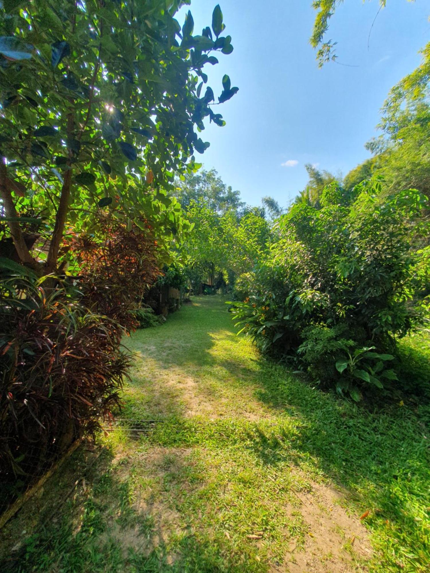 Mind'S Homestay มายด์โฮมสเตย์ Kampong Huaibu Exteriör bild